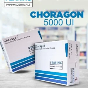 Choragon 5000 UI
