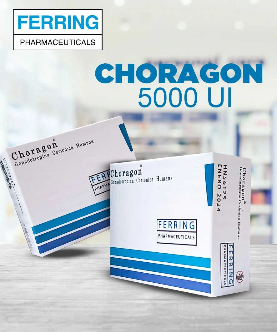 Choragon 5000 UI